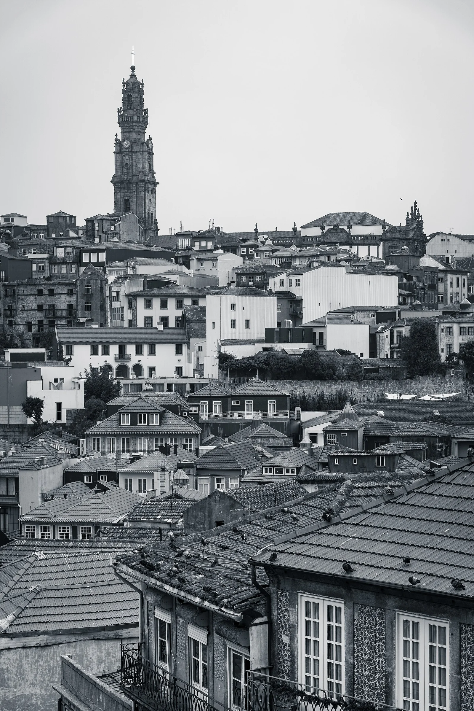 Clerigos Tower rising above Porto's historic centre.