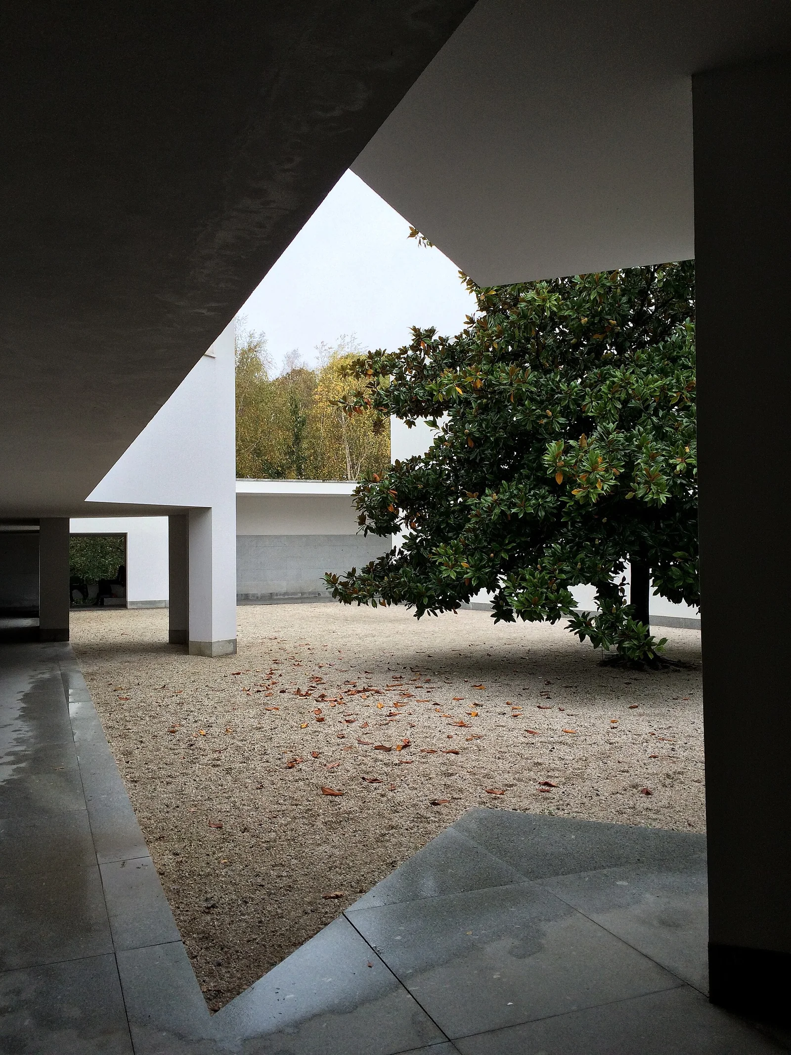 Exterior view of the Serralves Museum in Porto.